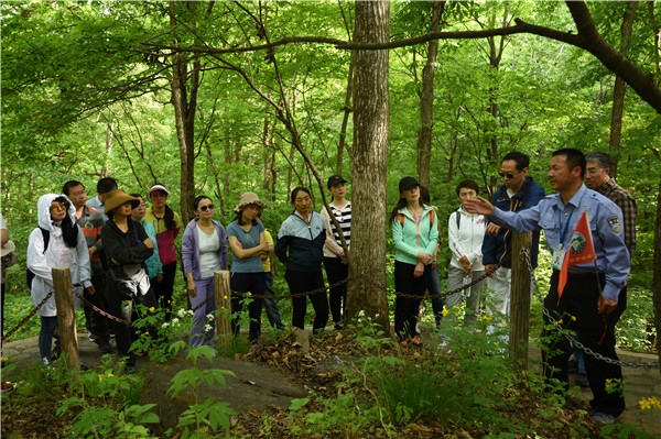 DSC_5481_副本.jpg DSC_5481_副本.jpg